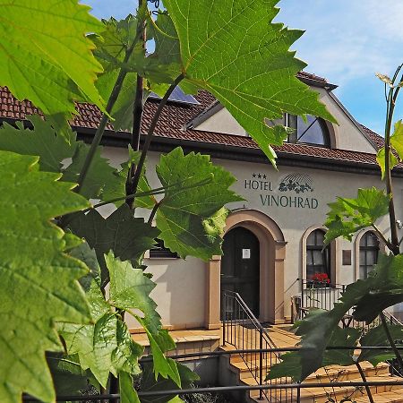 Hotel Vinohrad Milotice Экстерьер фото