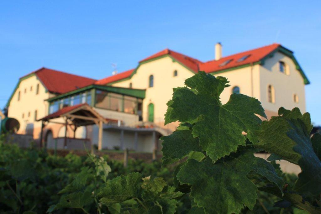 Hotel Vinohrad Milotice Экстерьер фото