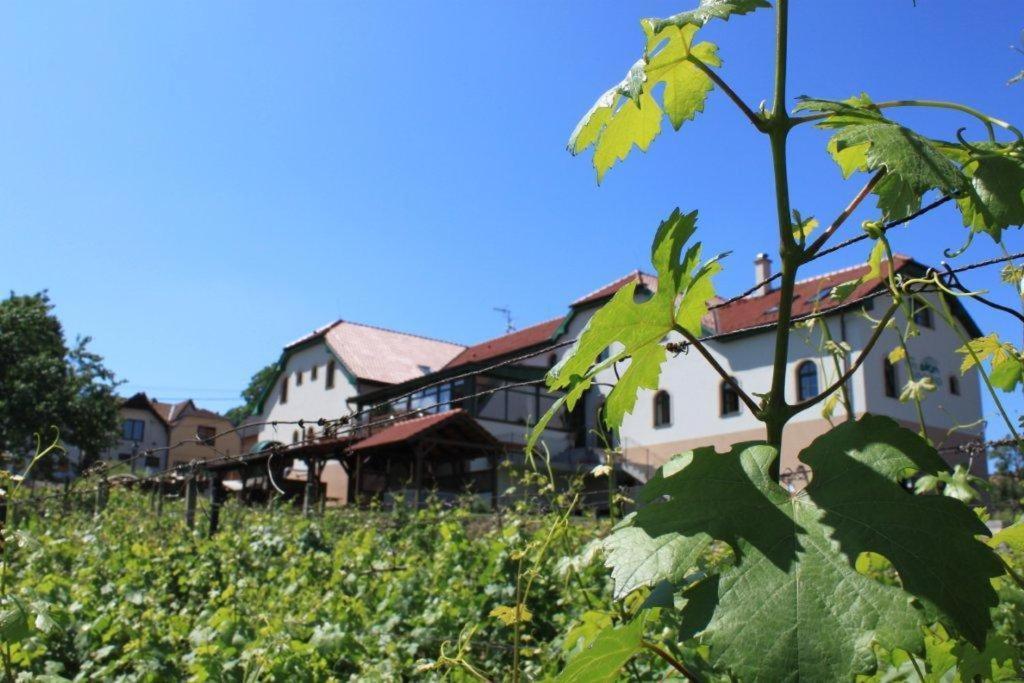 Hotel Vinohrad Milotice Экстерьер фото